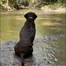 Cameron Thomsen - Facebook