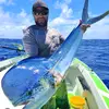 Cameron Thorp - @fishing_rarotonga - TikTok