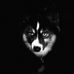 Cameron Tinker - Facebook