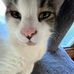 Cameron Trott - Facebook