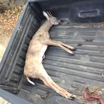 CAMERON TROTT - @cam_lax53 - Instagram
