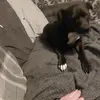 Cameron Trott - @cameron.trott3 - TikTok