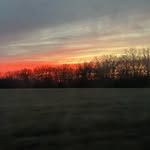 Cameron Utterback - @utterbackcameron - Instagram