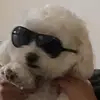 cameron vasquez - @cameronvasquez3 - TikTok