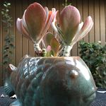 Cameron Waller - @c4meronwaller - Instagram