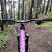 Cameron Waller - Facebook