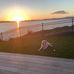 Cameron Webster - Facebook