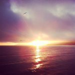 CameronWebster - @cameron_webster_ - Instagram