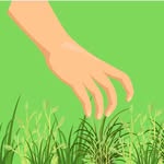 Cam pulling weeds 🌱🪴 - @cameron.weedpulling - Instagram