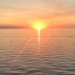 Cameron - @cameronwehr12 - Instagram