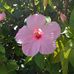 Cameron Weber - Facebook