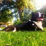 Andrew Weldon Cameron - @andrewweldoncameron - Instagram