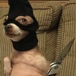 Skyler Cameron Wellman - @skyler_cameron_wellman_ - Instagram