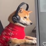Cameron Werth - @cameronwerth - Instagram