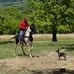 Cameron Whitaker - Facebook