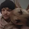 Cameron Whitaker - @cameron.whitaker6 - TikTok