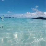 Cameron Wiggins - @14camwiggins - Instagram