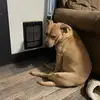 Cameron Wilcox19 - @cameron.wilcox - TikTok
