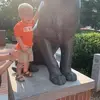 Cameron Williamson - @cameron.williamso - TikTok