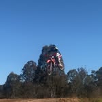 Cameron Wills - @cam_wills75 - Instagram