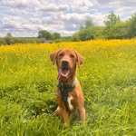 cameron wilton - @cameronwilton6 - Instagram