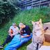 Cameron Wiltshire - Facebook
