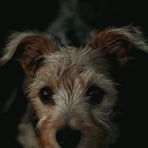 Kota Cameron Winter Hope - Facebook