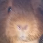 Cameron - @cameron.winton - Instagram