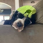 Cameron James Wittendorf - @cameron_wittendorf268 - Instagram