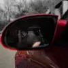 Cameron Wolfe - @camo_wolfe27 - TikTok