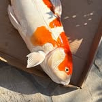 Cameron Wood - @_cameron_wood_ - Instagram