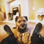 Cameron yule - @cameron_396 - Instagram