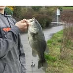 Cameron Zerbe - Facebook