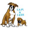 Cameron & Cassius - @camncash - TikTok