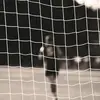 cami.moore3 - @cami.moore3 - TikTok