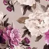 Camila Knowles Jackson - @camila.knowles.ja - TikTok