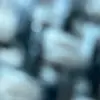 camilla brooks - @camilla.brooks7 - TikTok