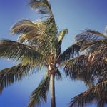 Camilla Davis-Feger - @camilladavisfeger - Instagram