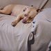 Camilla Elder - Facebook