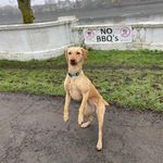 Camilla Evans - @camillaevans55 - Instagram