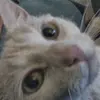 camilaeveret - @camilaeveret - TikTok
