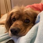 Camilla Gilbert - Facebook