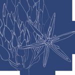 Camilla Grayley Garden Design - @camillagrayley - Instagram