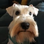 Camilla King - @camilla_king - Instagram