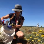 La tua ostetrica olistica - @camillamarks.es.ita - Instagram