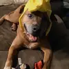 camilla - @camilla_mayyy - TikTok