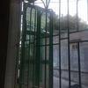 camillarushman316 - @camillarushman316 - TikTok