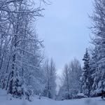 Betyr Ikke No Lenger - @camilla_strom - Instagram