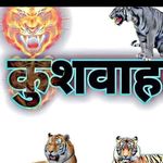 Camilla Walker - @tigers.kumar.58173 - Instagram