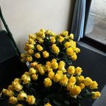 Camilla Walker - @camilla.walker.79 - Instagram